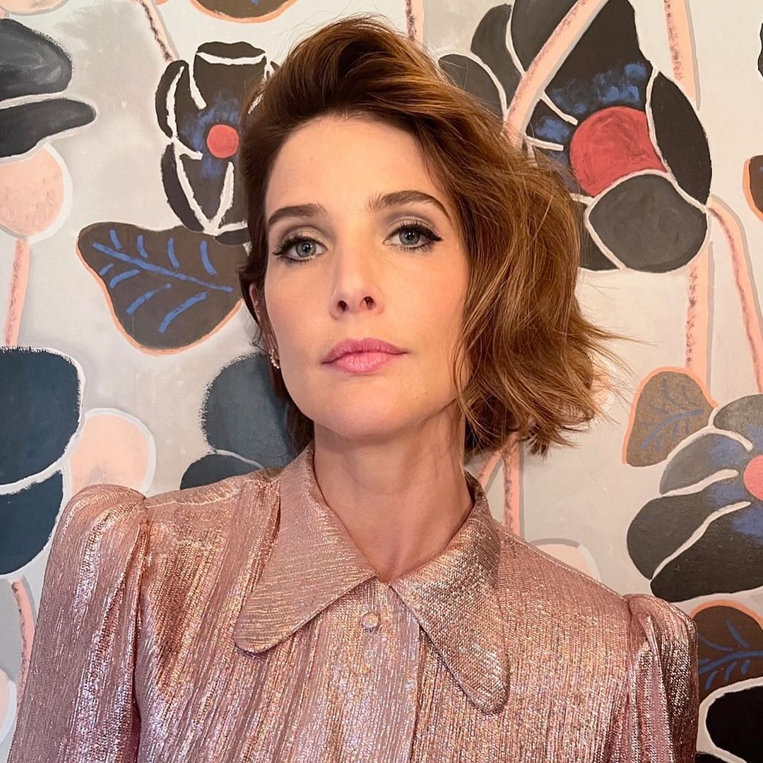 Cobie Smulders Net Worth